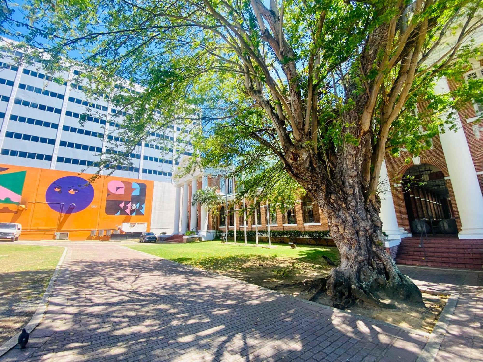 Hotel La Calma Poshtel *